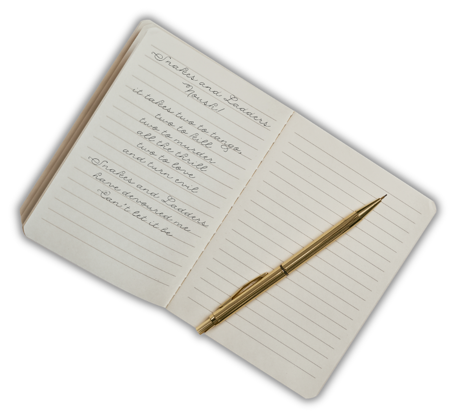 Notebook - noushnews