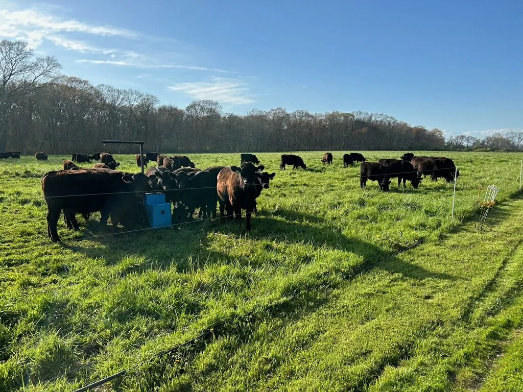 Aquidneck Farms