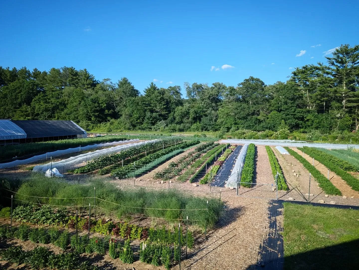 Assawaga Farm