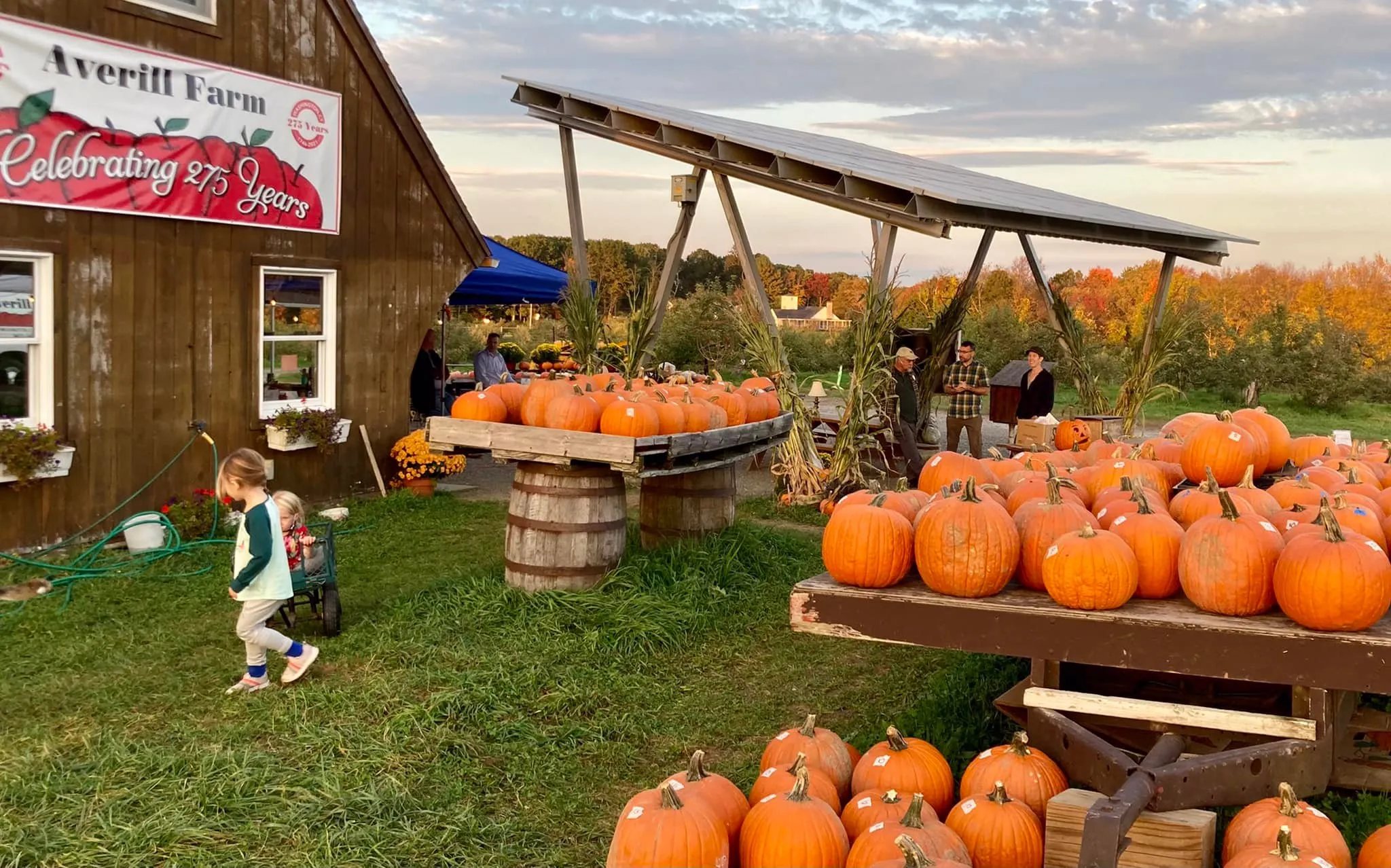 Averill Farm