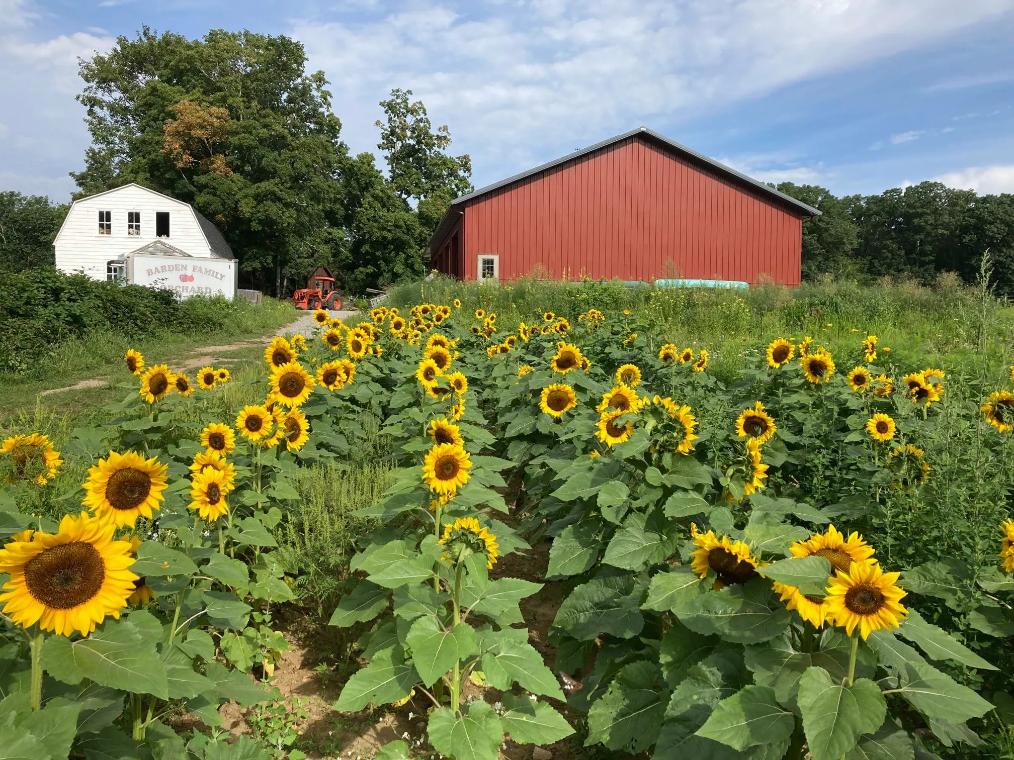 Barden Family Orchard