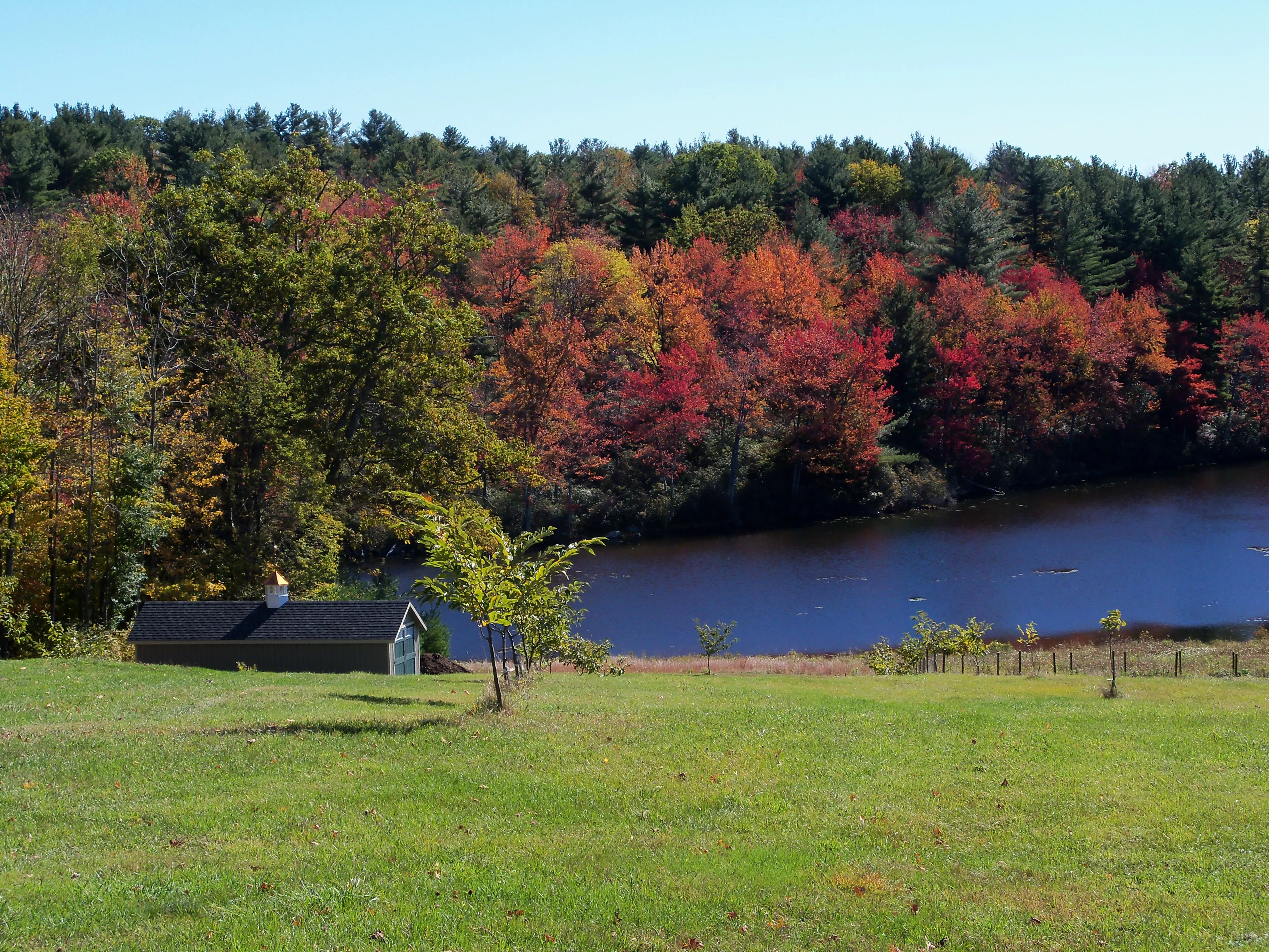 Autumn Harvest Orchard