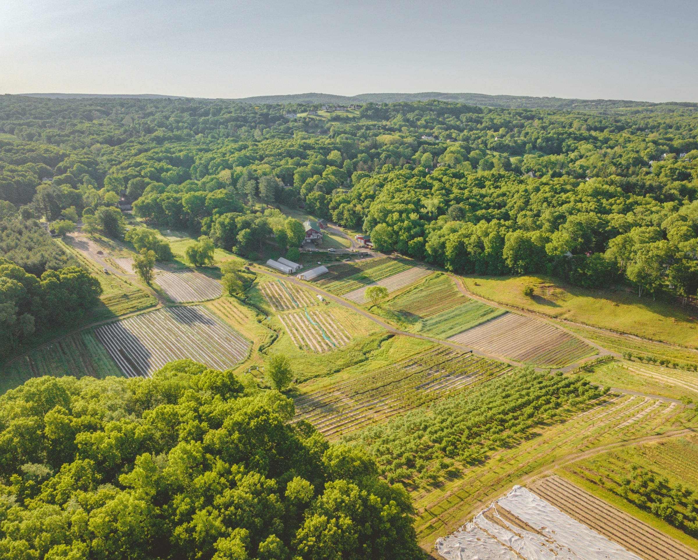 Beckett Farms