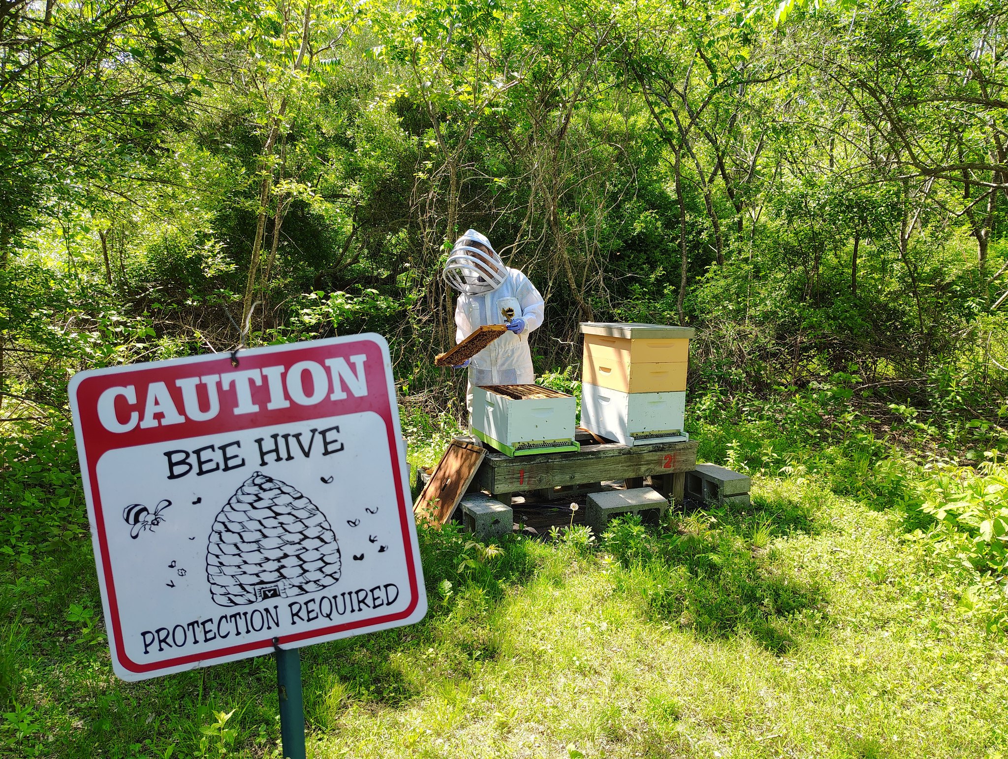 Bee Happy Homestead