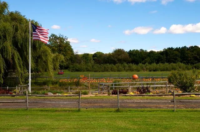 Blue Jay Orchards
