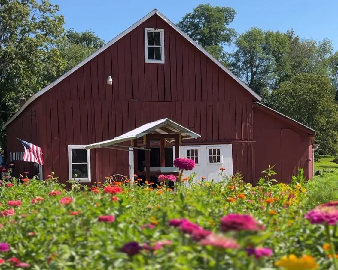 Bordua Farms