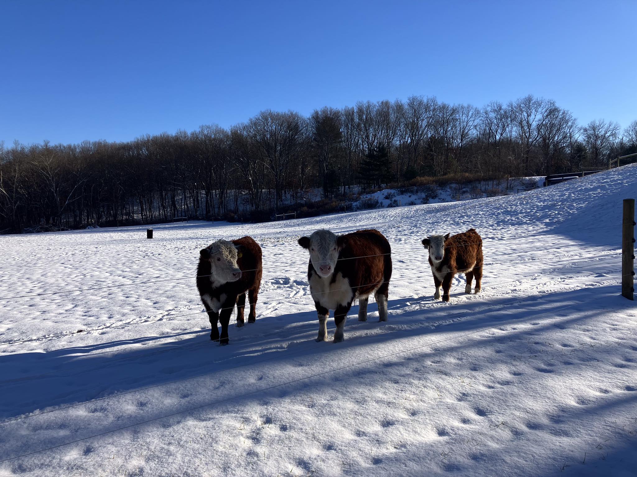 Brennan Brook Farm