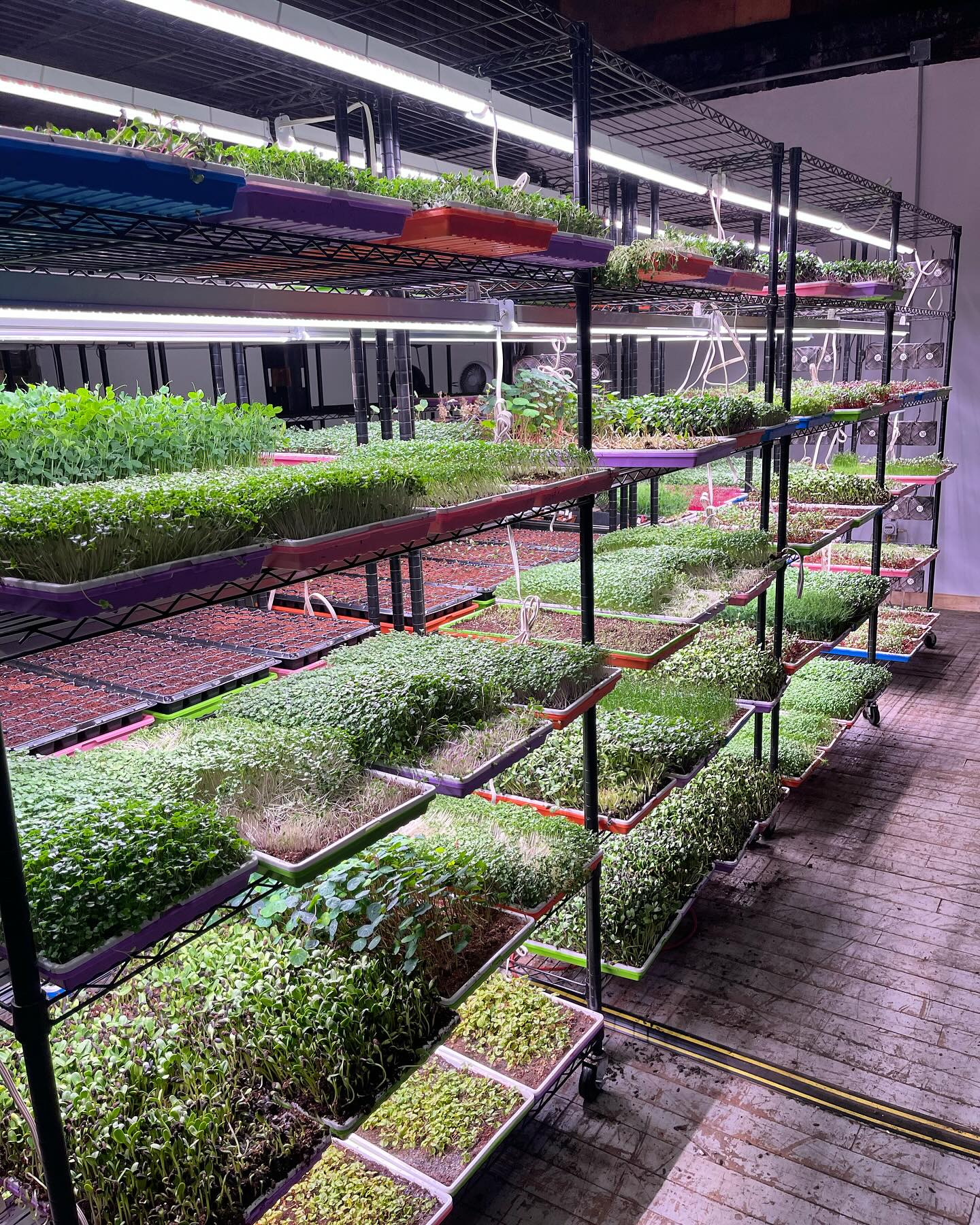 Casi Paraiso Organics LLC
