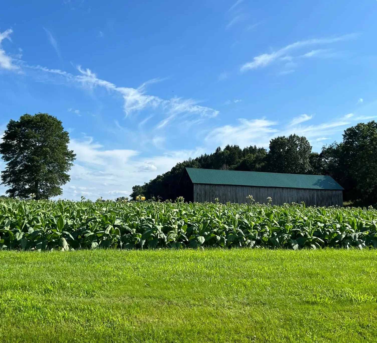 Cupola Hollow Farm