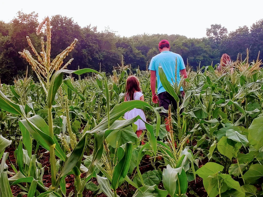 DeFrancesco Farm Stand