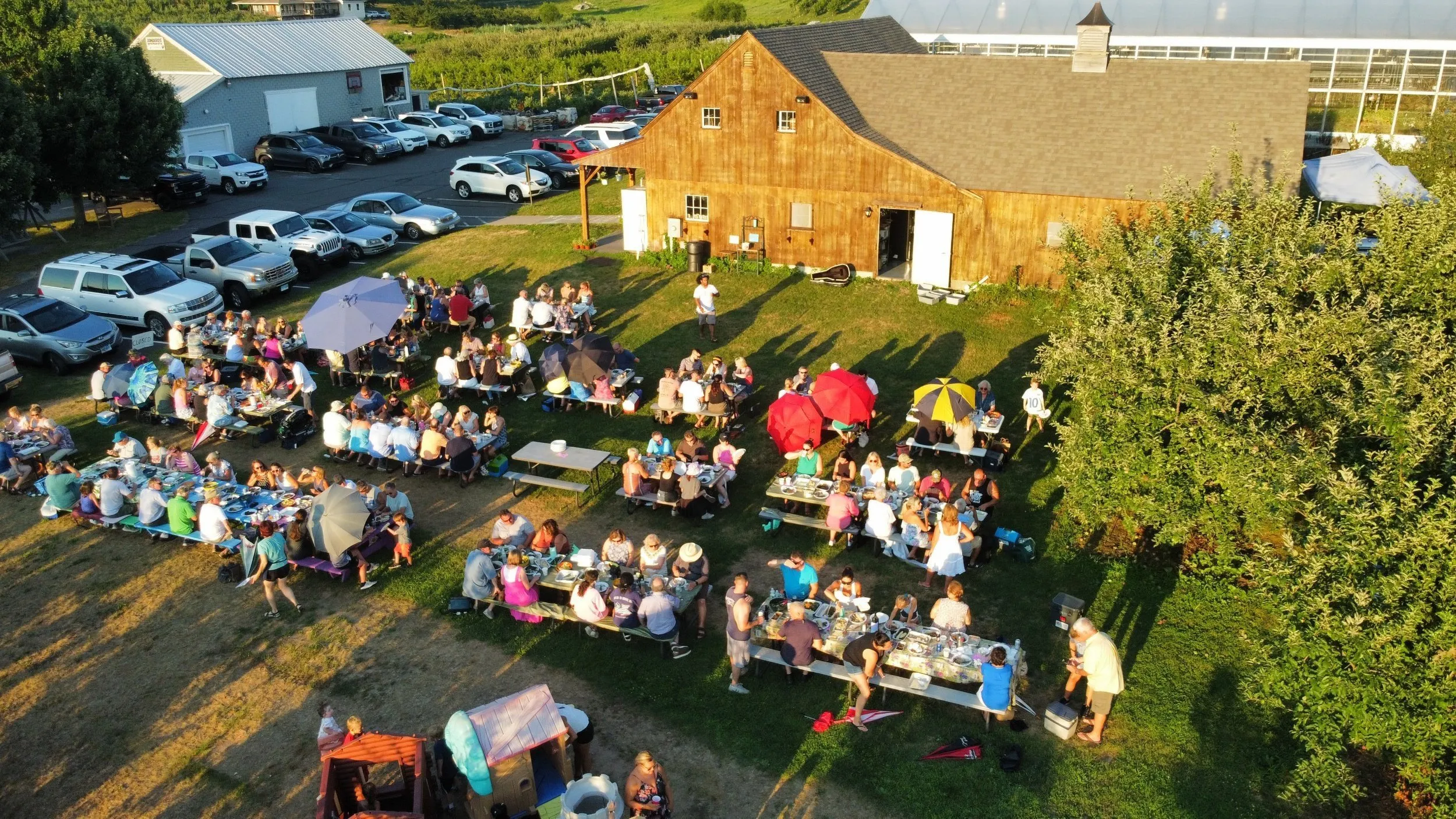 Dondero Orchards - Glastonbury