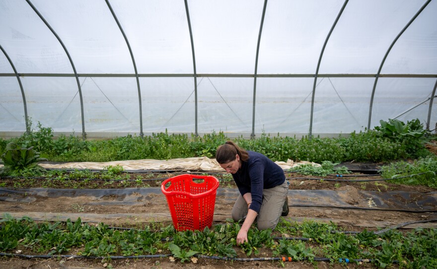 Earth’s Palate Farm