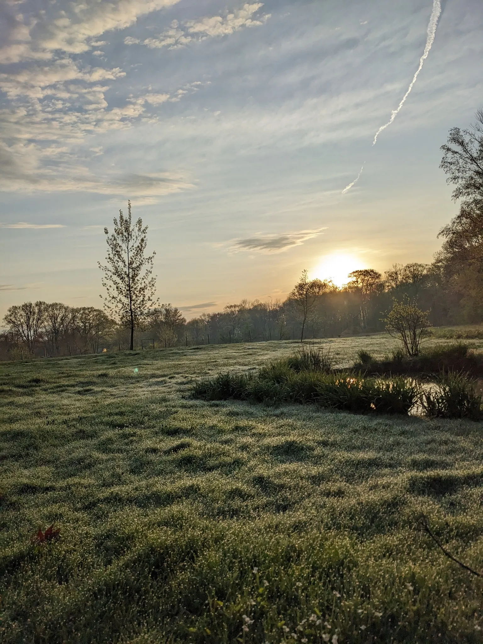East Meadow Farm & Orchard