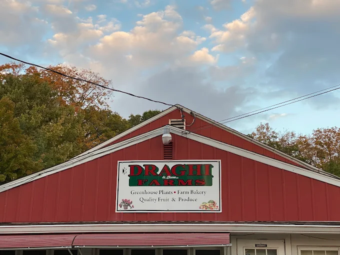 Draghi Farms