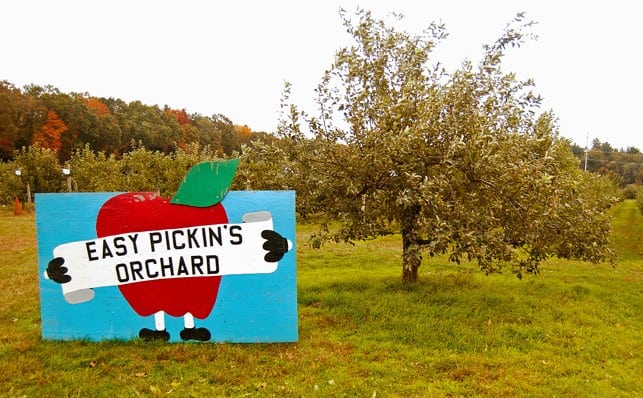 Easy Pickin’s Orchard