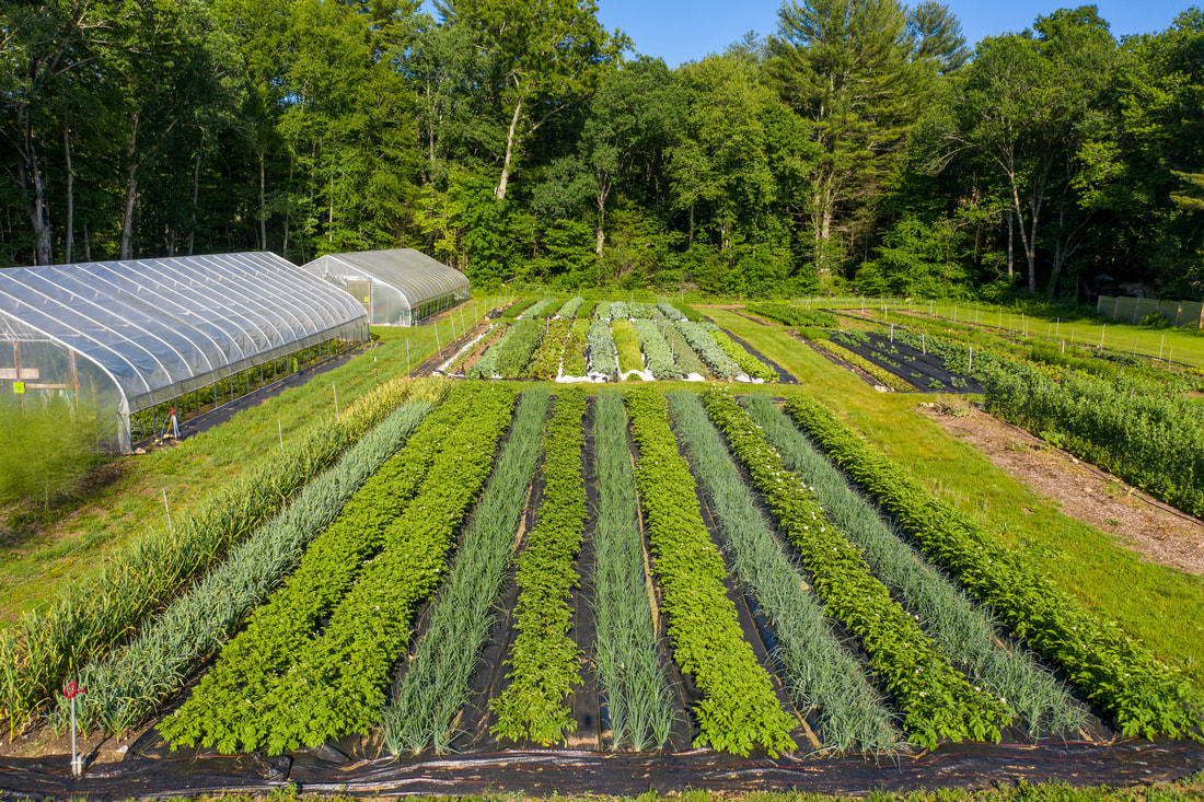 Full Heart Farm