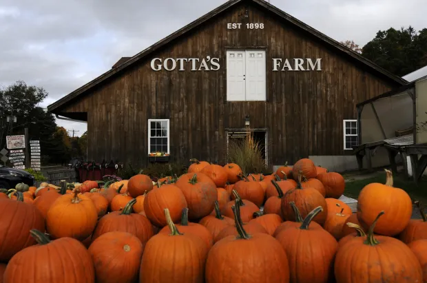 Gotta’s Farm
