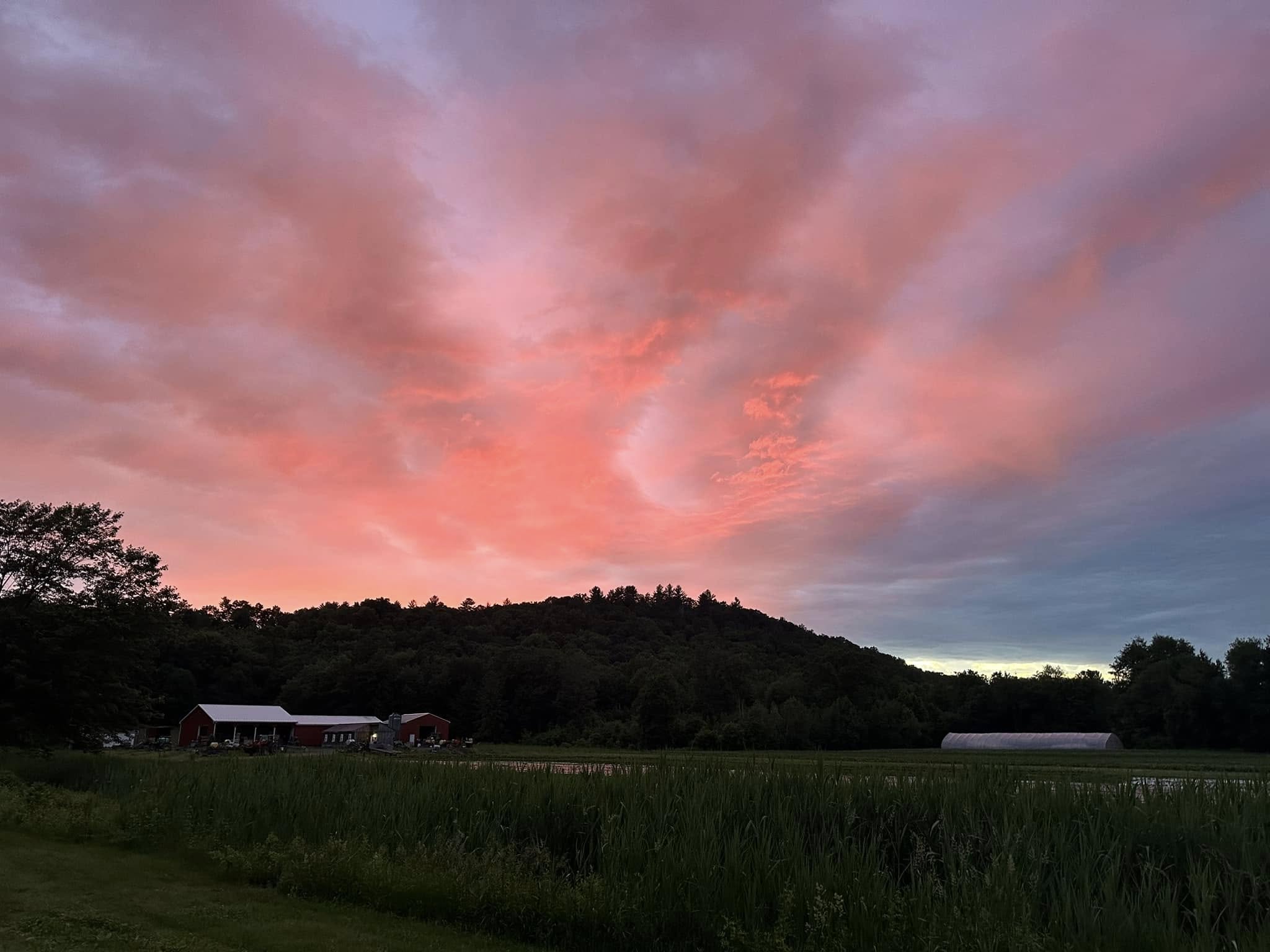 Gresczyk Farms