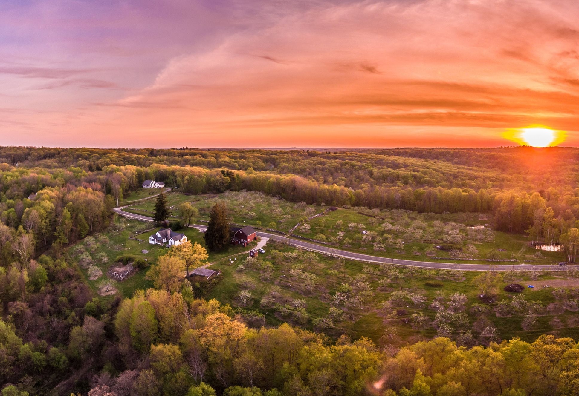 Hayward Farm