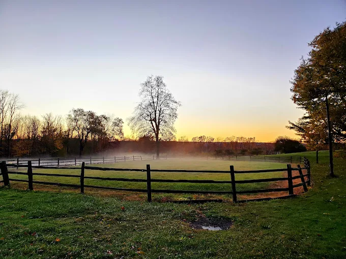 Hickory Hill Orchards