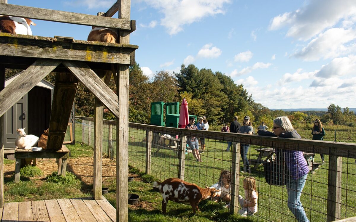 Hindinger Farm