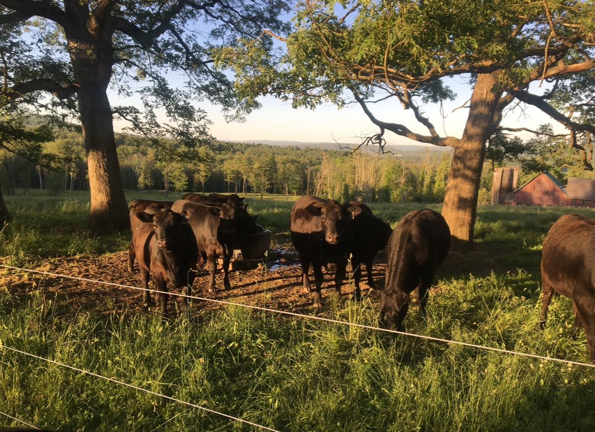 Howling Flats Farm