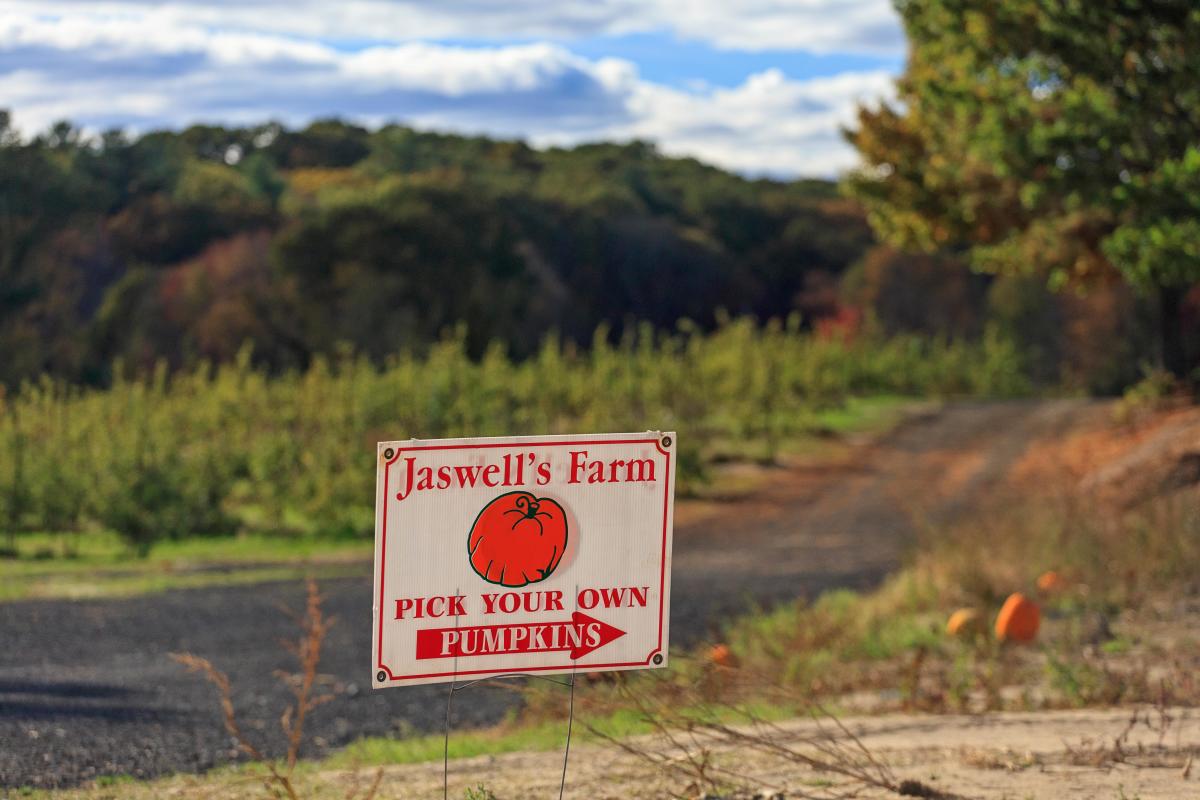 Jaswell’s Farm