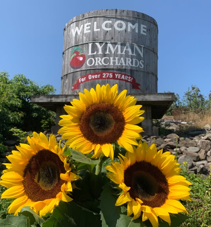 Lyman Orchards