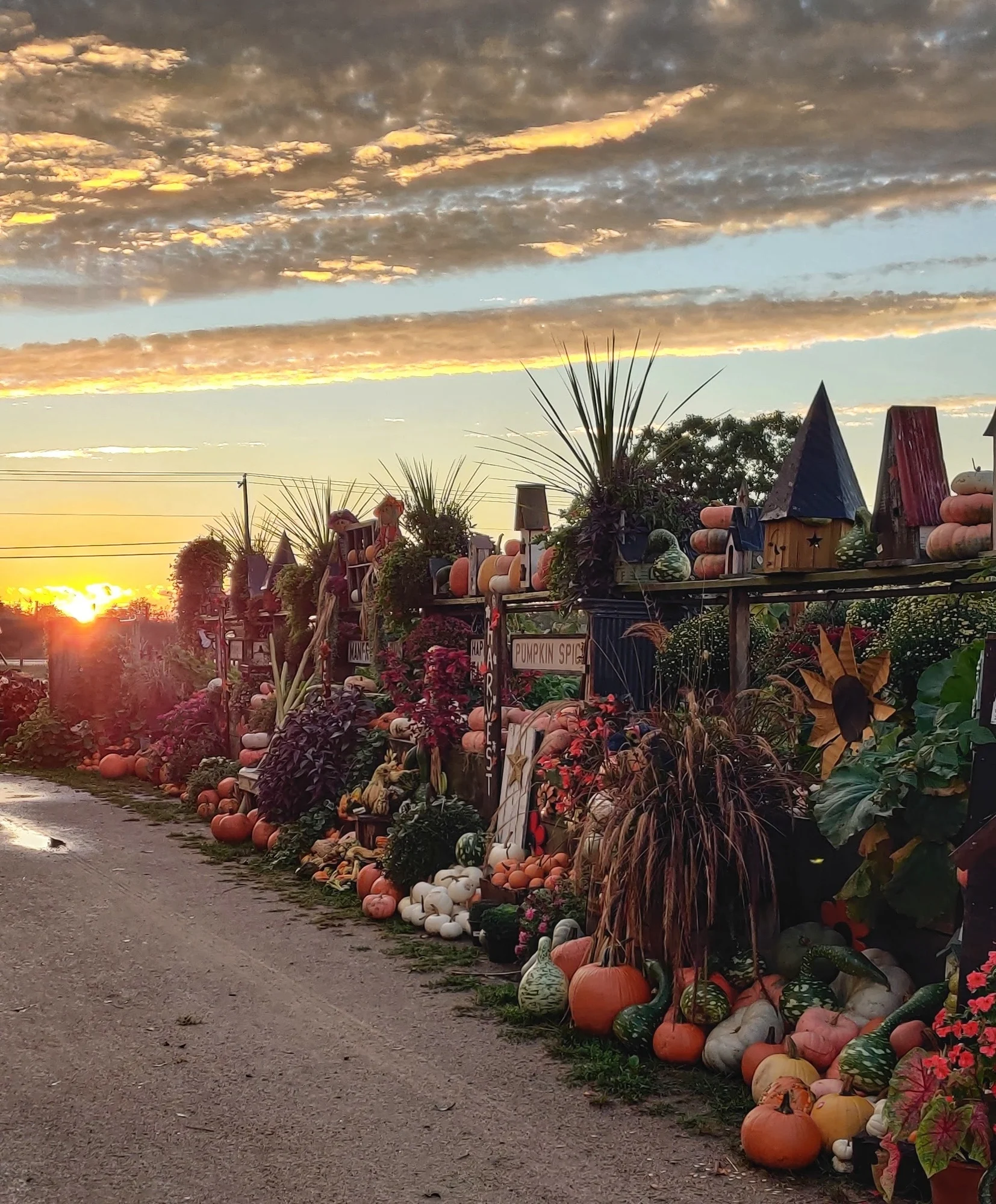 Manfredi Farms
