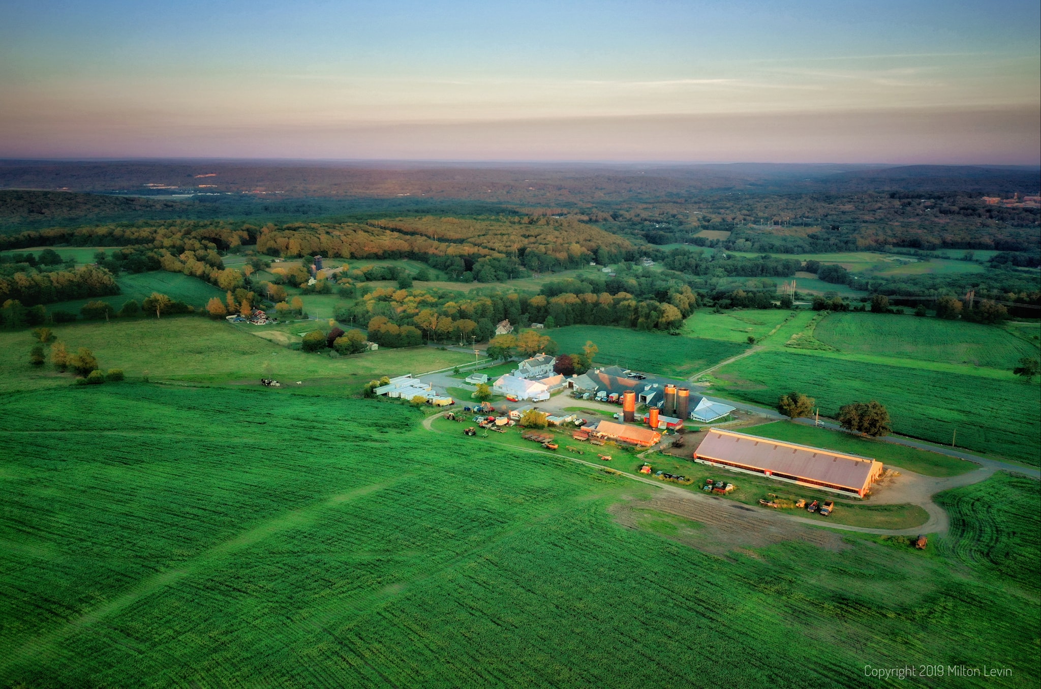 Mountain Dairy