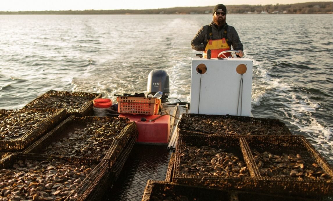 Ninigret Nectar Oysters