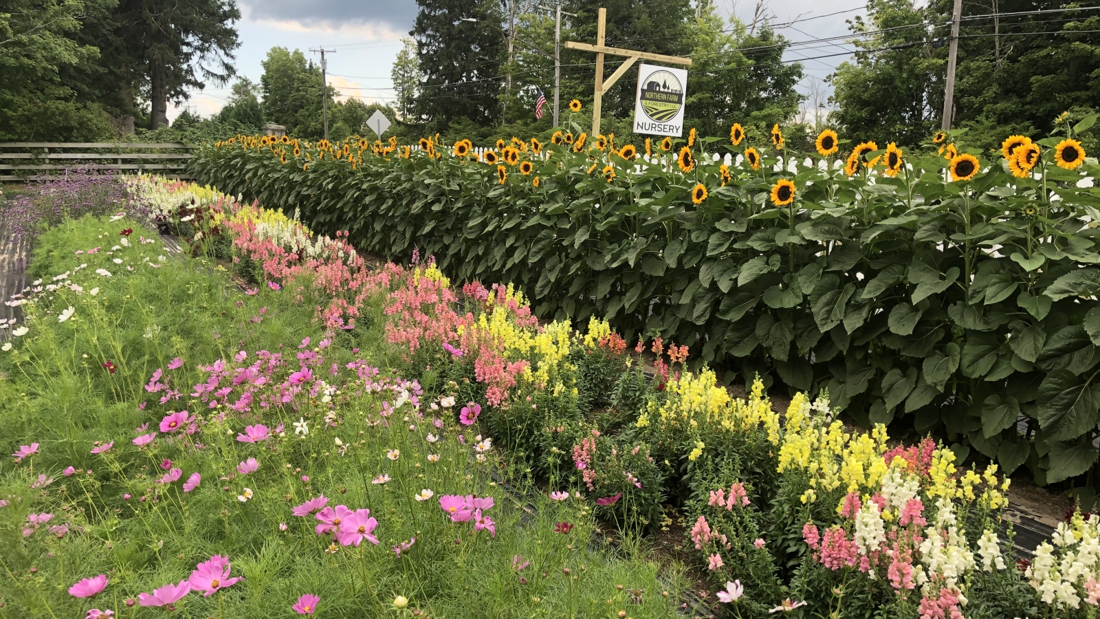 Northern Farm & Flowers