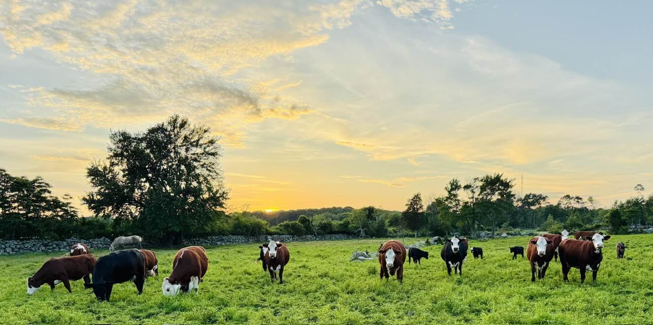 Pezza Farm