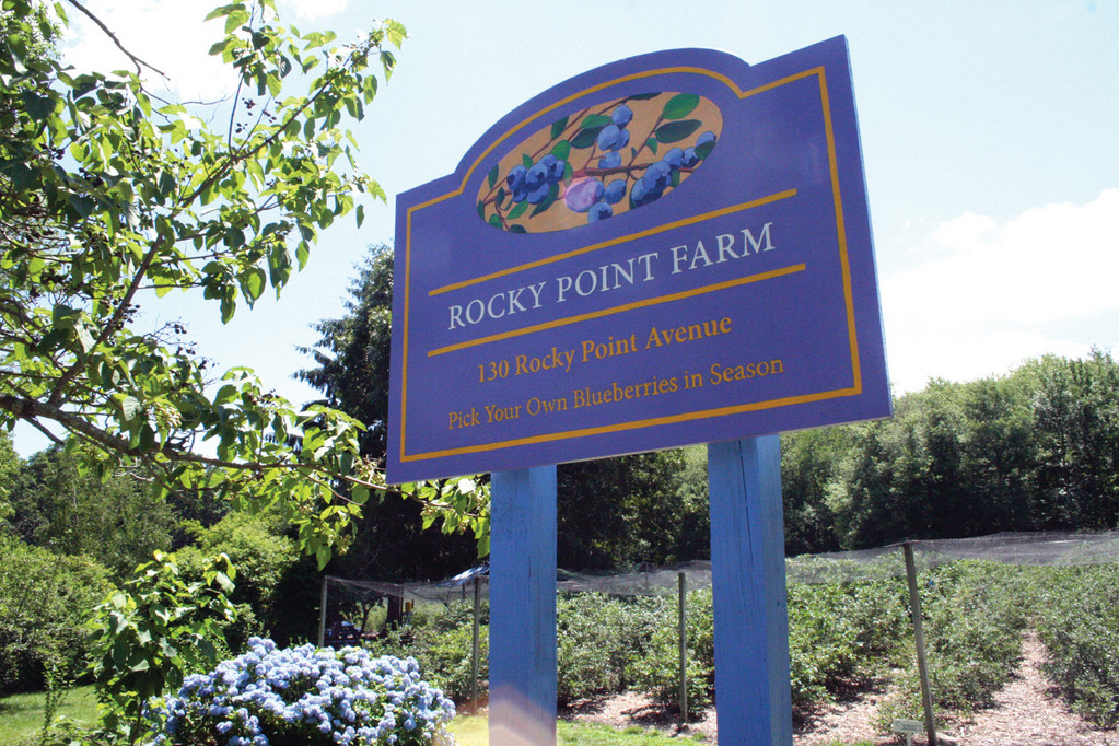 Rocky Point Blueberry Farm