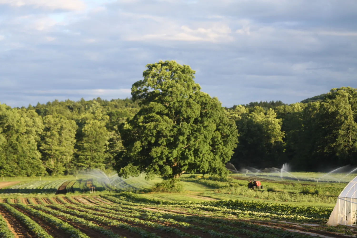 Riverbank Farm