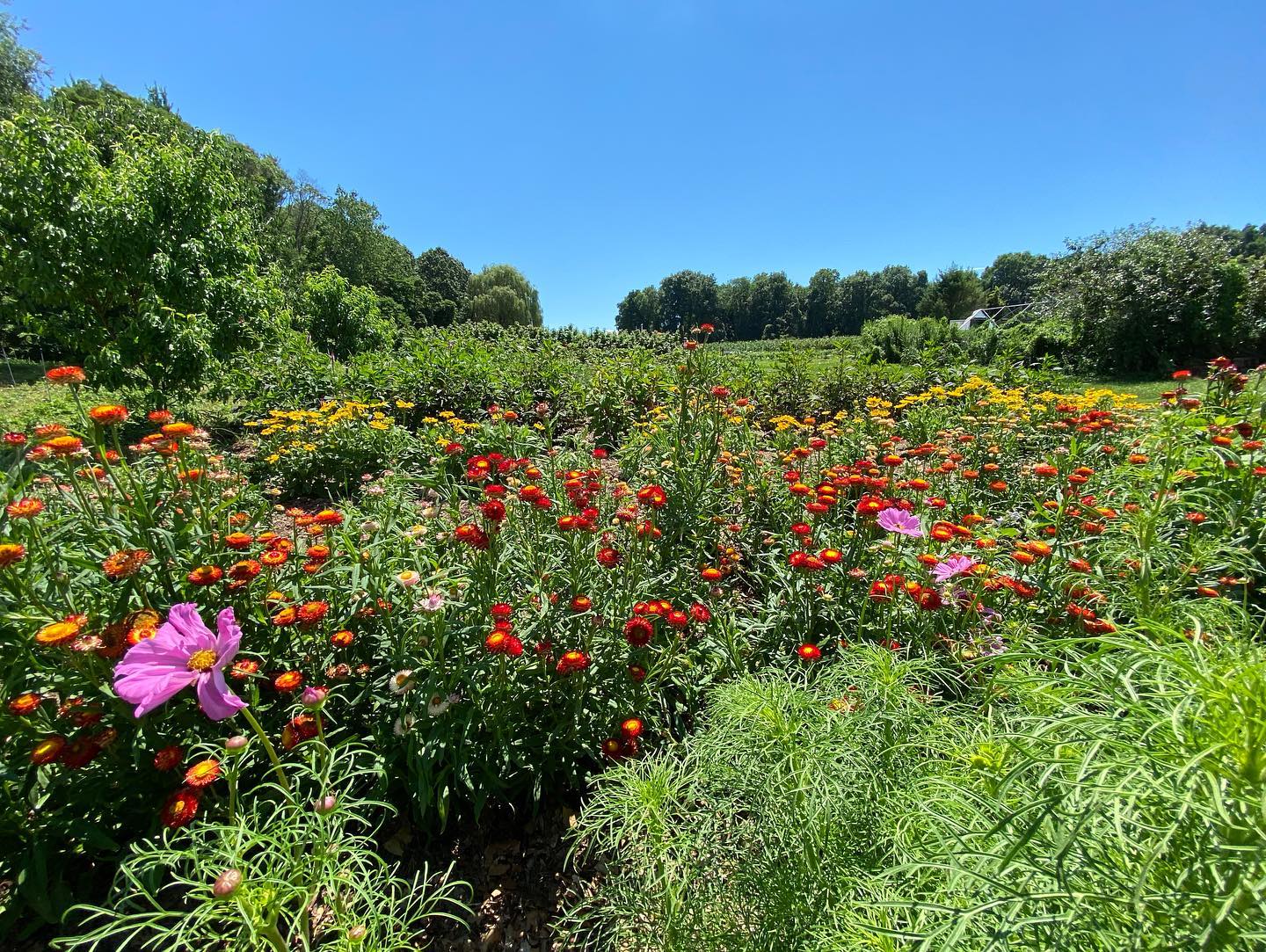 River Crest Farm