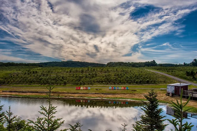 Rose's Berry Farm - South Glastonbury