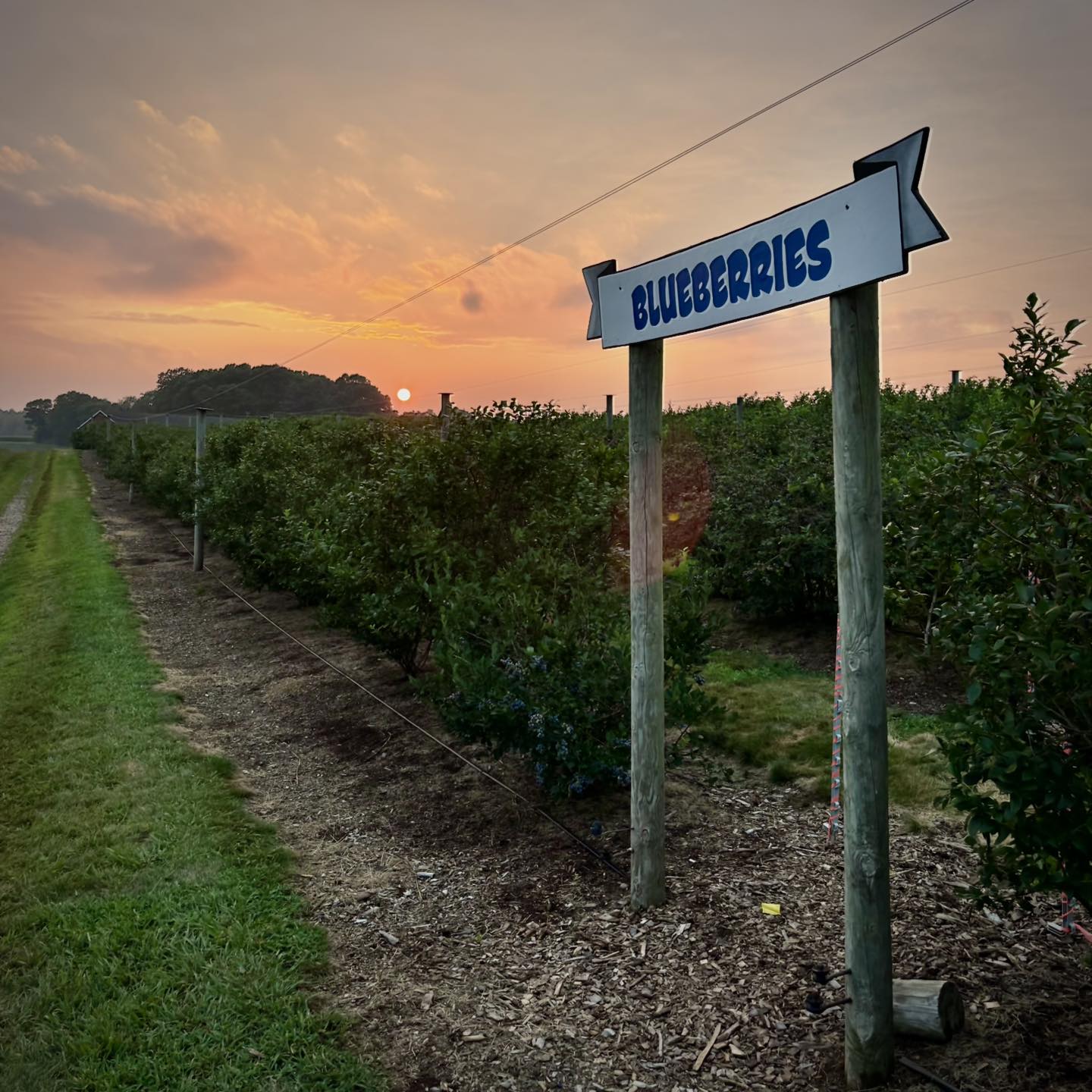 Scantic Valley Farm