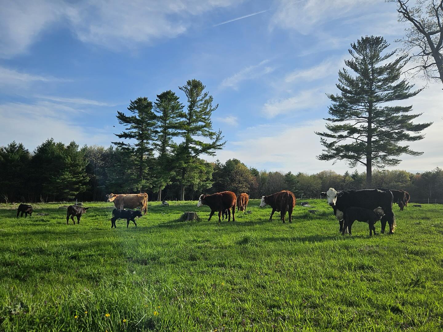 Sanford Farm