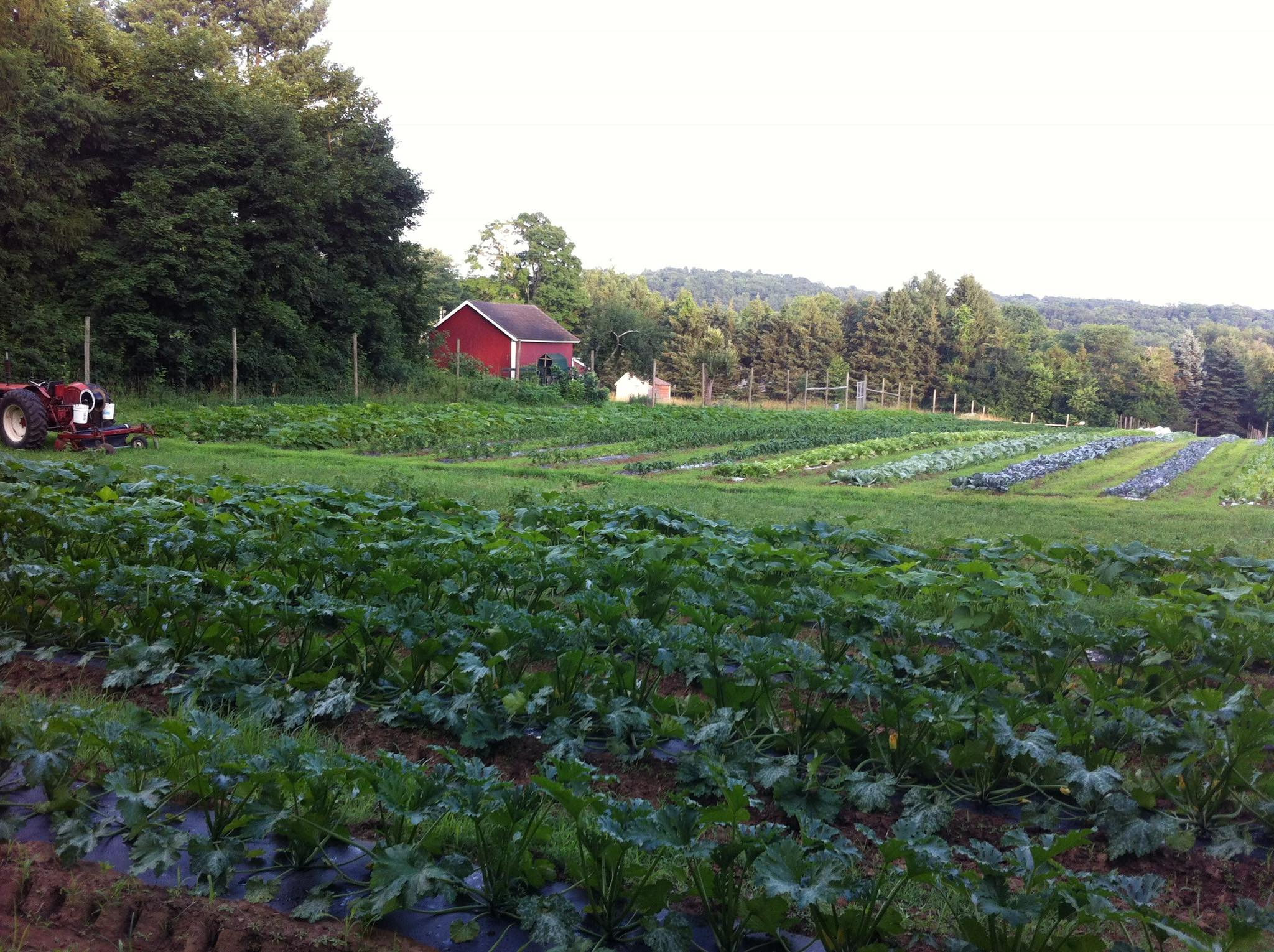 Shortt’s Farm