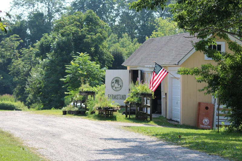 Stone Acres Farm