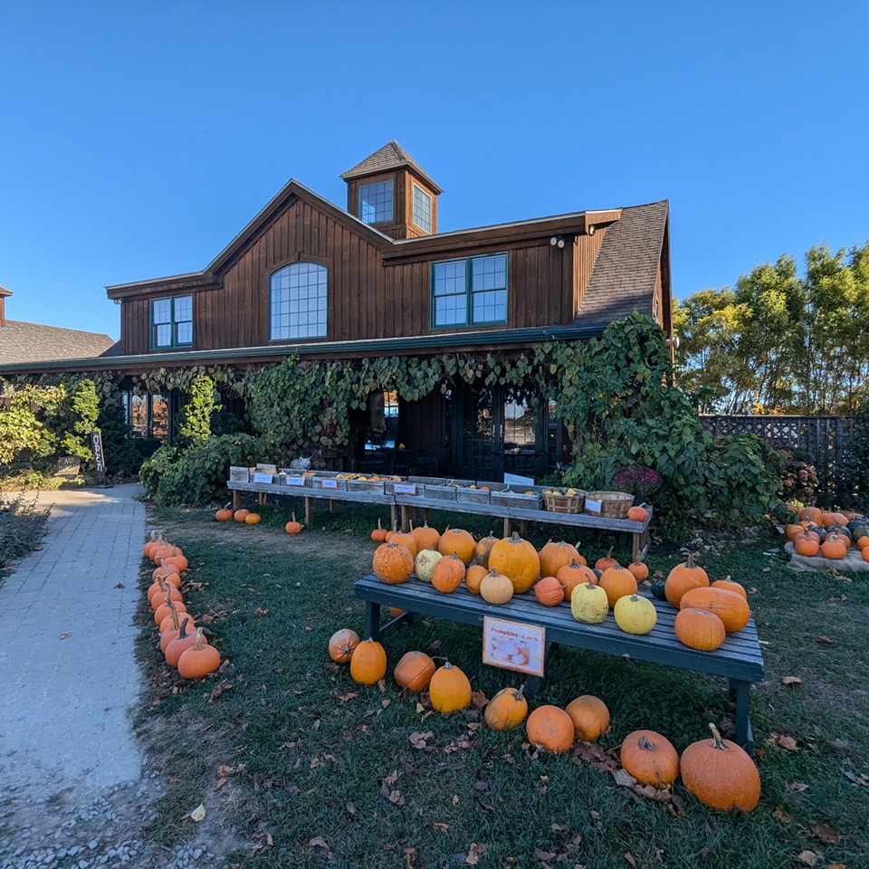 Sweet Berry Farm