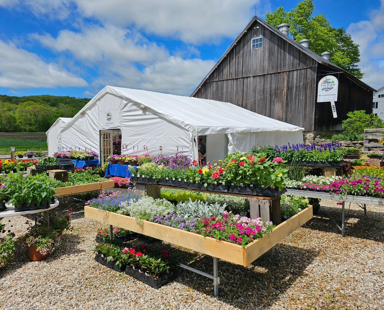 The Farm - Woodbury