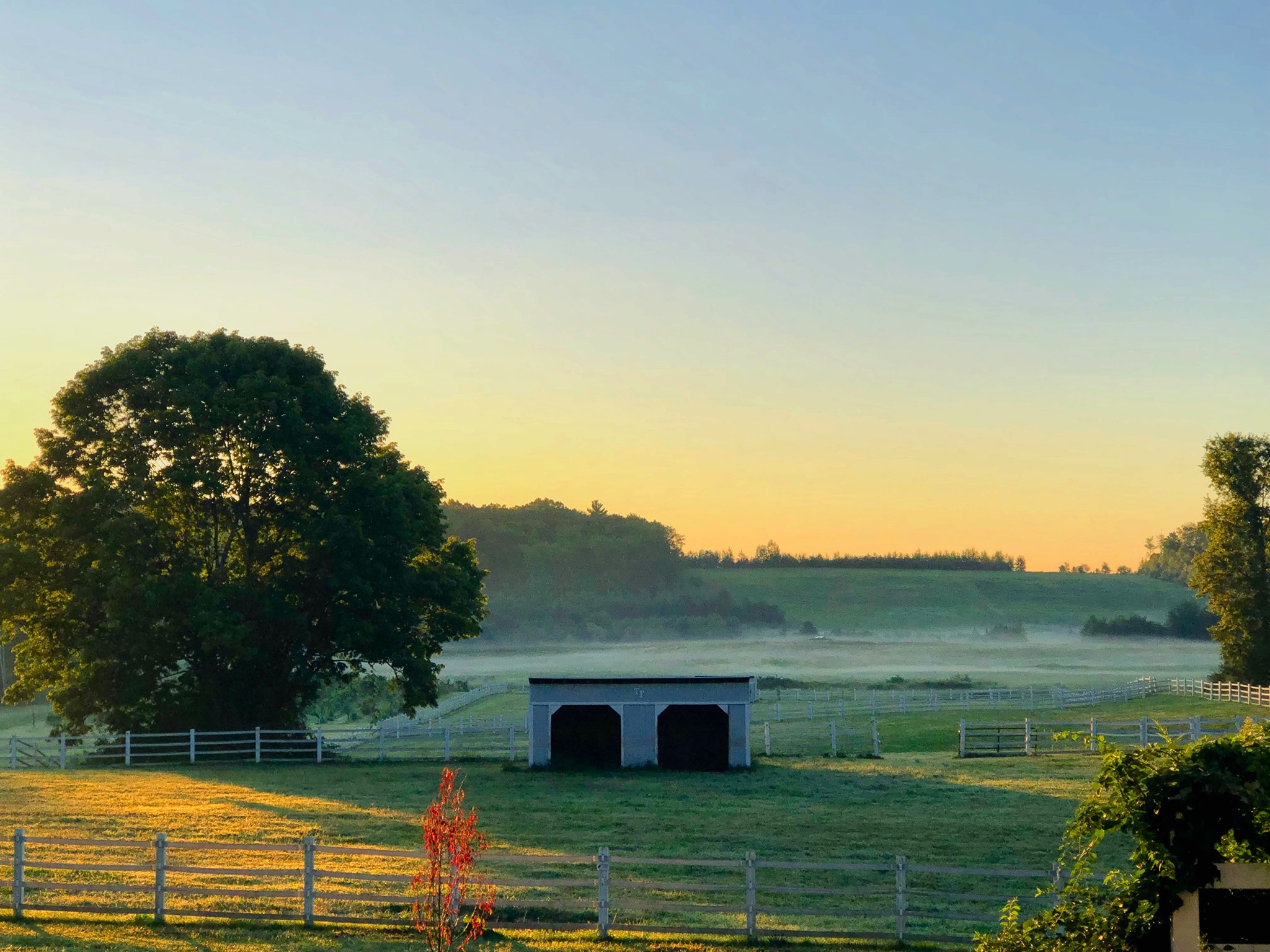 Trusz Farms