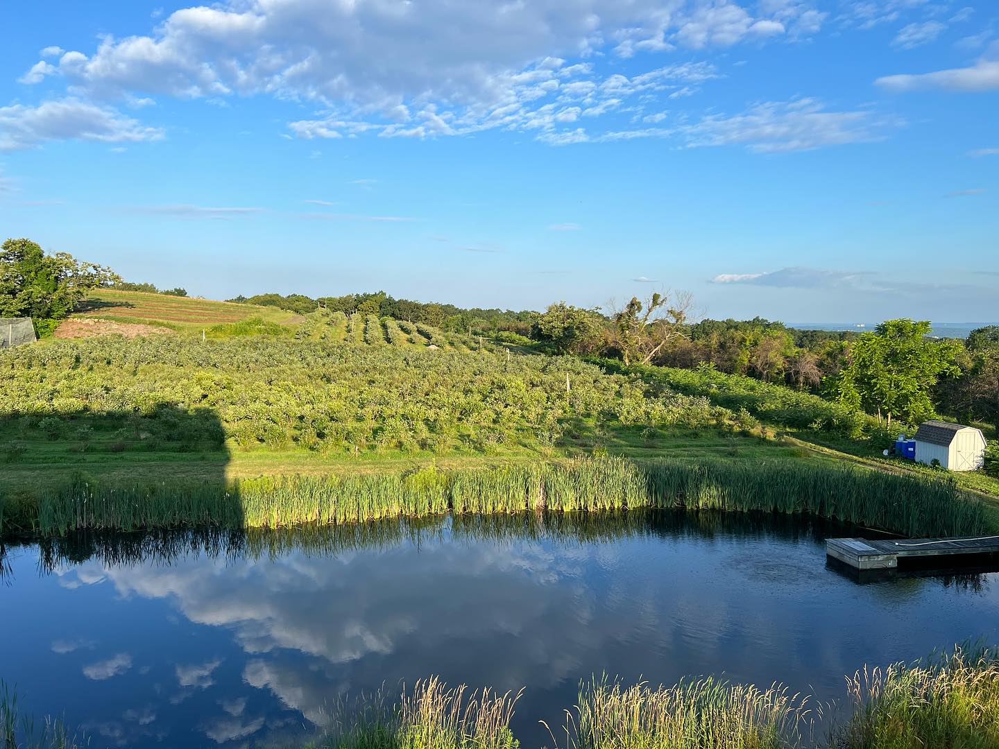 Walnut Ledge Farm
