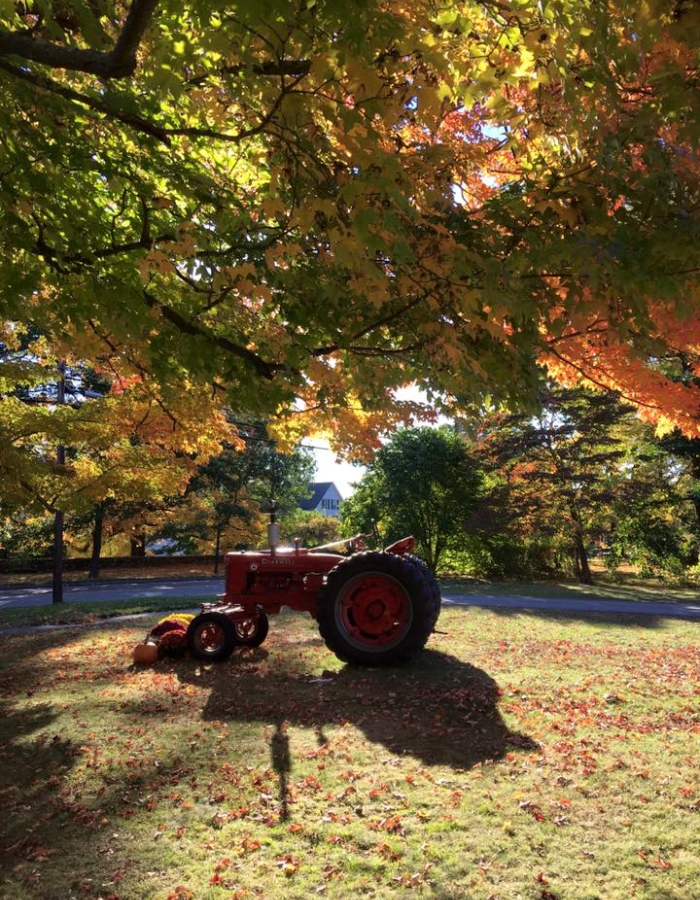 Woodstock Orchards LLC