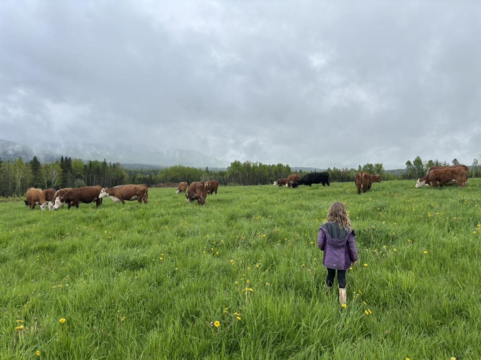 CJEJ Farm