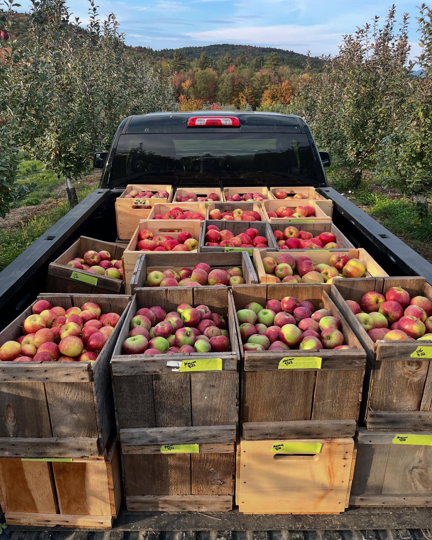 Tellman Hill Farm