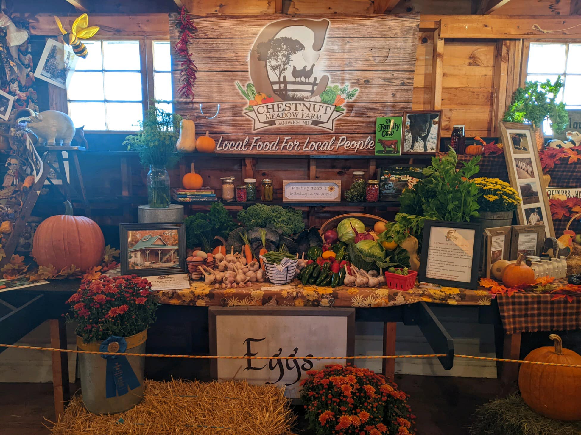 Chestnut Meadow Farm