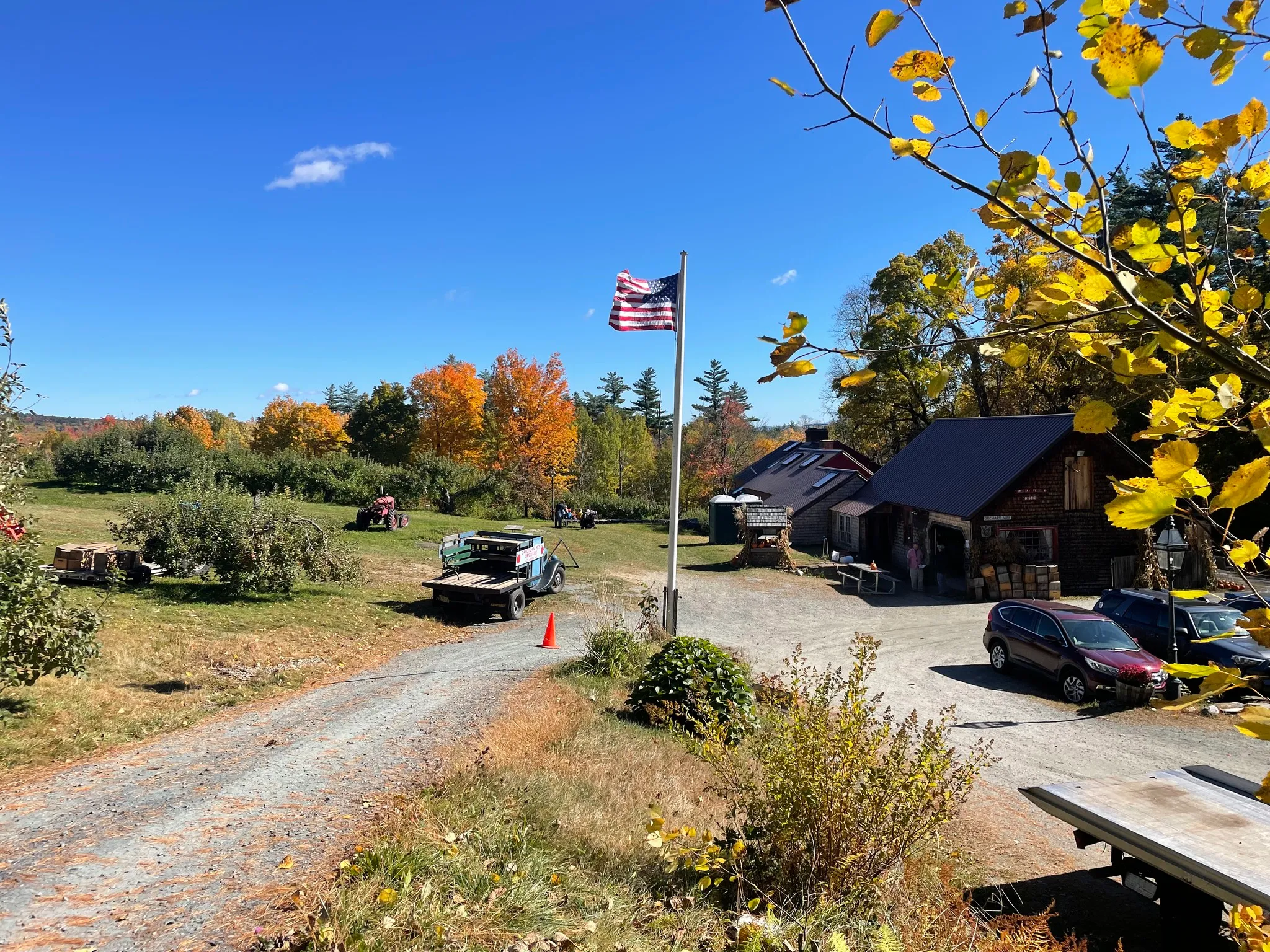 Cardigan Mountain Orchard